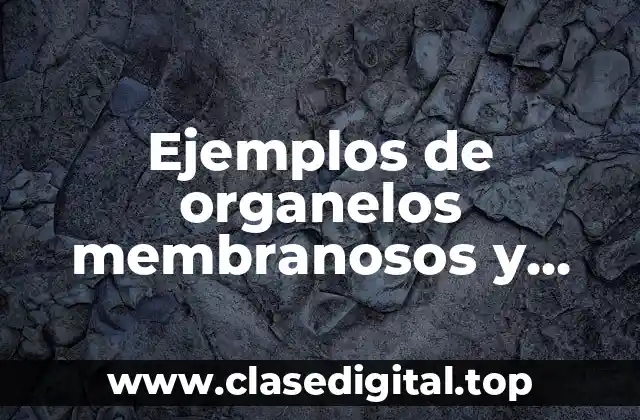 Ejemplos de organelos membranosos
