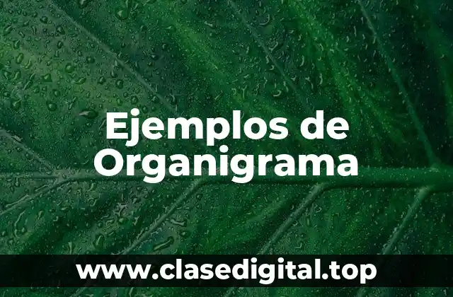Ejemplos de Organigrama
