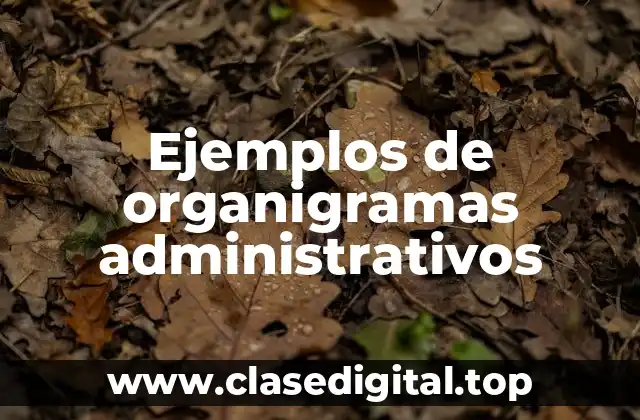 Ejemplos de organigramas administrativos