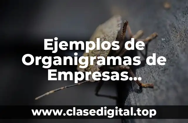 Ejemplos de Organigramas de Empresas Comerciales