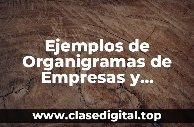 Ejemplos de Organigramas de Empresas y Significado