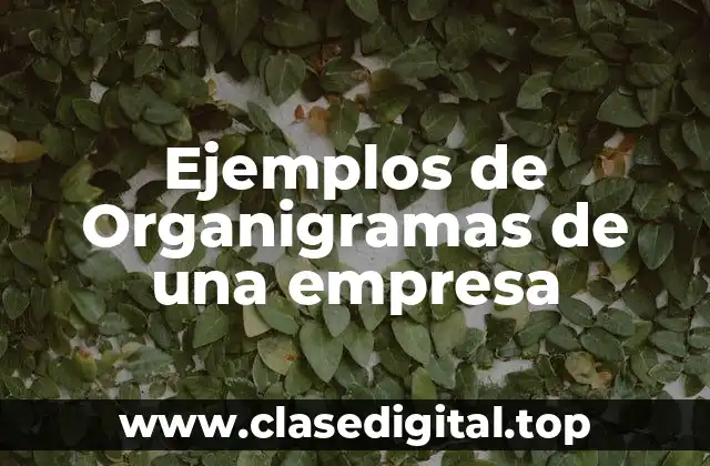 Ejemplos de Organigramas de una empresa
