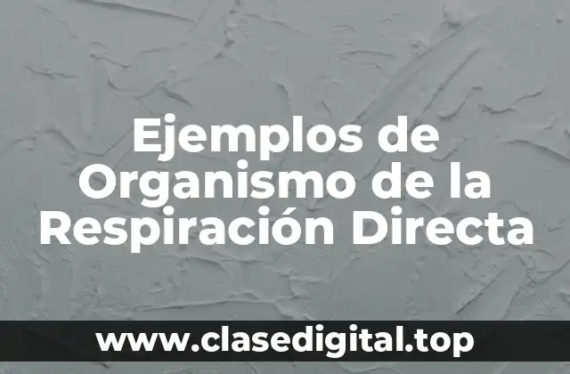 Ejemplos de Organismo de la Respiración Directa