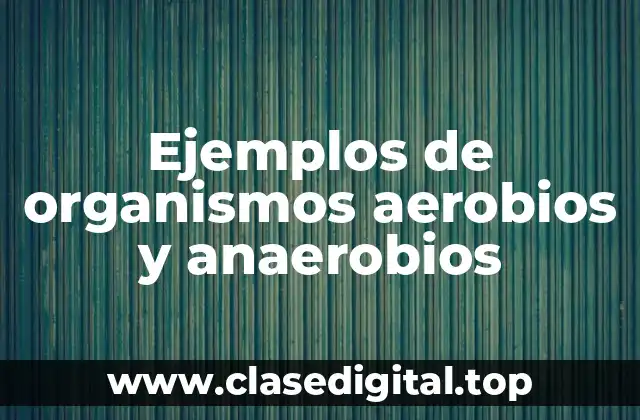 Ejemplos de organismos aerobios y anaerobios
