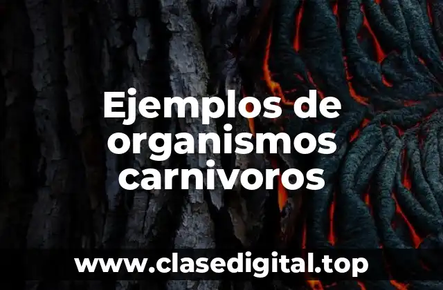 Ejemplos de organismos carnivoros
