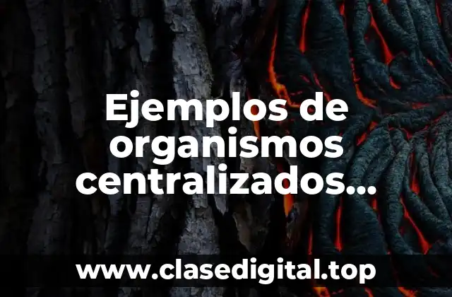 Ejemplos de organismos centralizados, descentralizados y desconcentrados