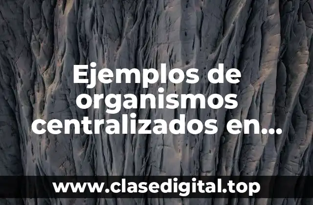 Ejemplos de organismos centralizados en México