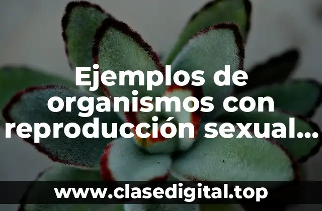 Ejemplos de organismos con reproducción sexual y Significado
