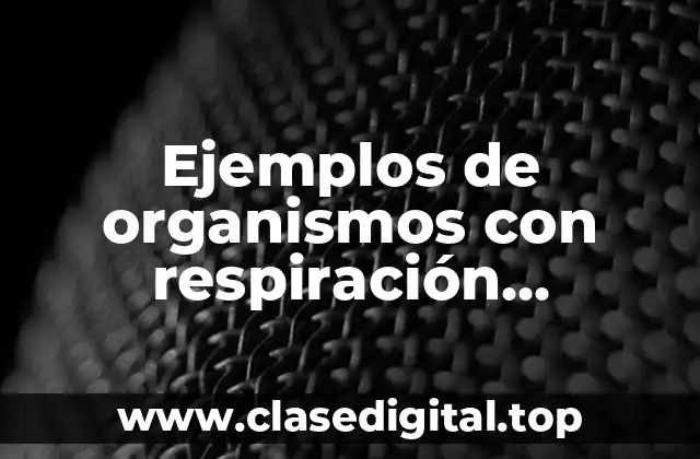 Ejemplos de organismos con respiración anaerobia