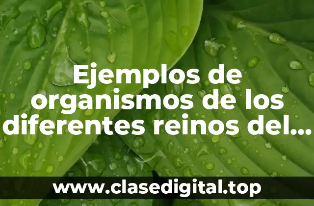 Ejemplos de organismos de los diferentes reinos del dominio Eukarya