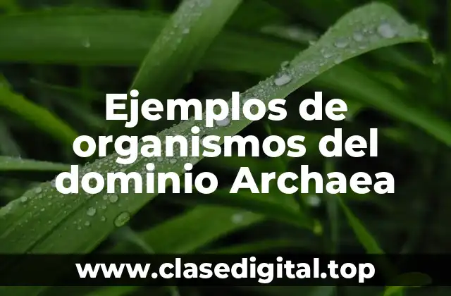 Ejemplos de organismos del dominio Archaea