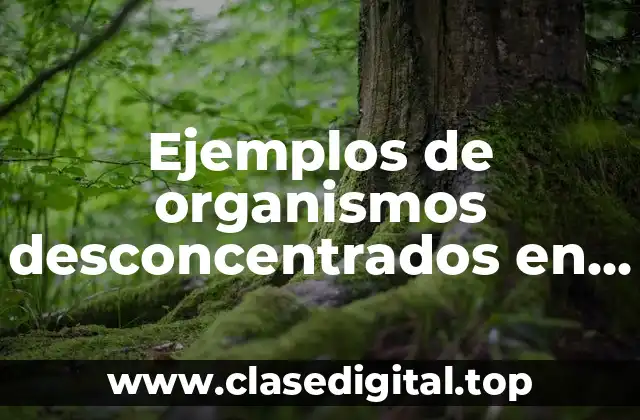 Ejemplos de organismos desconcentrados en México y Significado