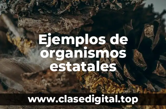 Ejemplos de organismos estatales