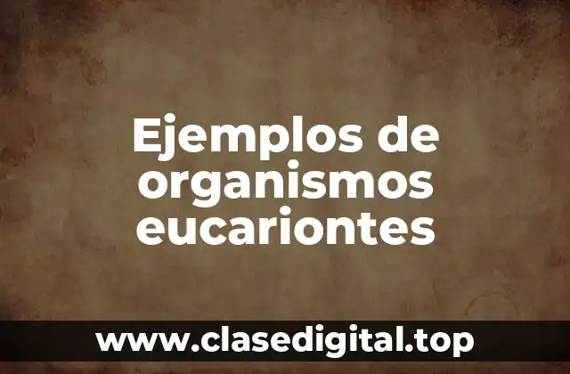 Ejemplos de organismos eucariontes