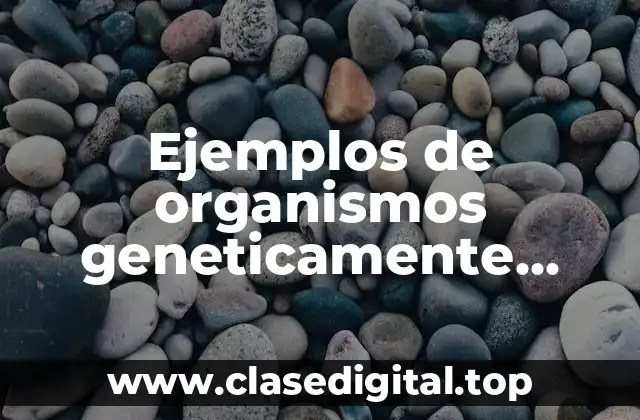 Ejemplos de organismos geneticamente modificados