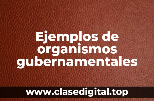 Ejemplos de organismos gubernamentales