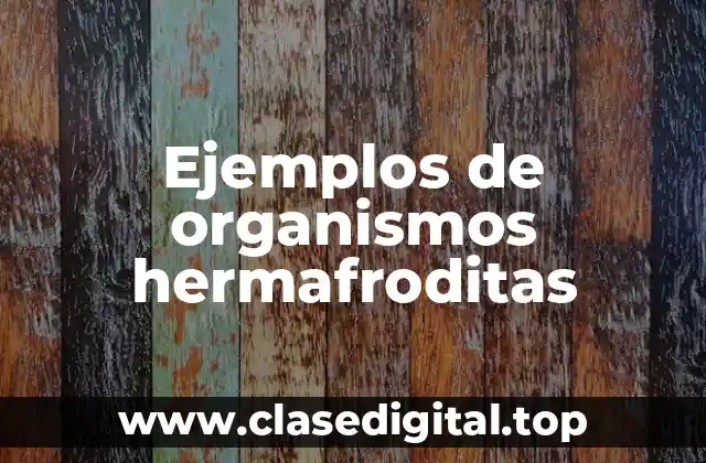 Ejemplos de organismos hermafroditas