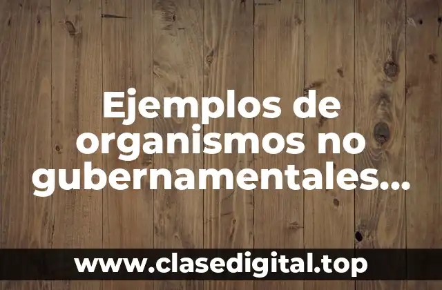 Ejemplos de organismos no gubernamentales que operan en el estado