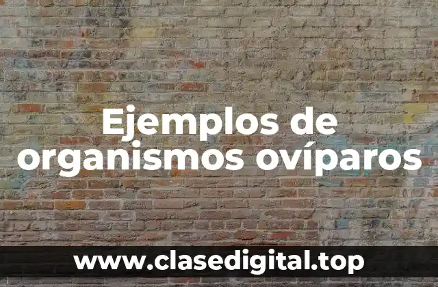 Ejemplos de organismos ovíparos