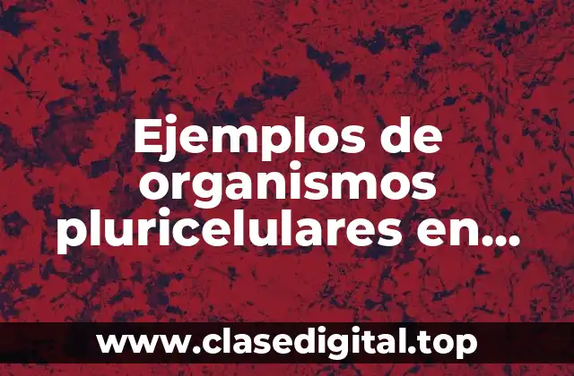 Ejemplos de organismos pluricelulares en nuestro cuerpo y su función