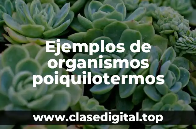 Ejemplos de organismos poiquilotermos