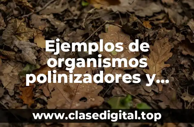 Ejemplos de organismos polinizadores y Significado