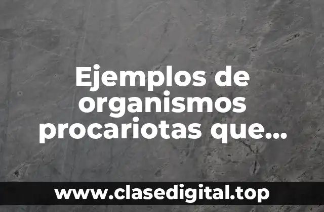 Ejemplos de organismos procariotas que realizan fision binaria y Significado