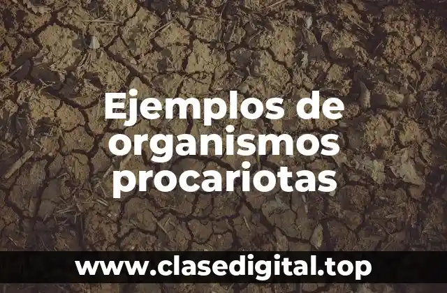 Ejemplos de organismos procariotas