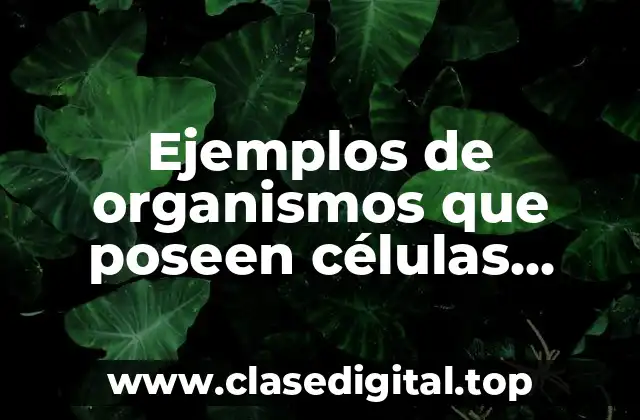 Ejemplos de organismos que poseen células eucariotas