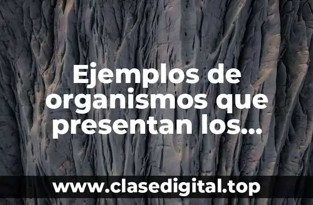 Ejemplos de organismos que presentan los diferentes tipos de célula
