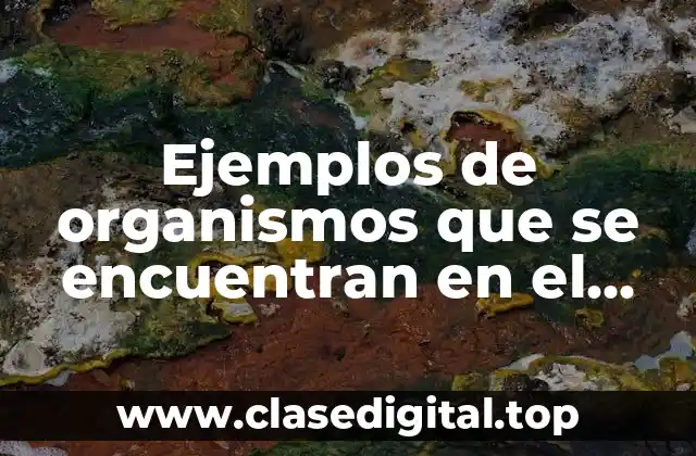 Ejemplos de organismos que se encuentran en el reino monera y Significado