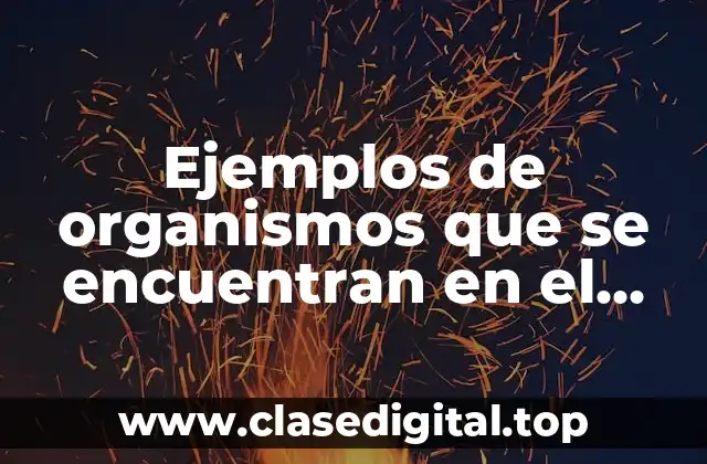 Ejemplos de organismos que se encuentran en el reino protista