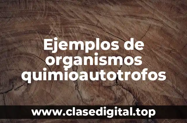 Ejemplos de organismos quimioautotrofos