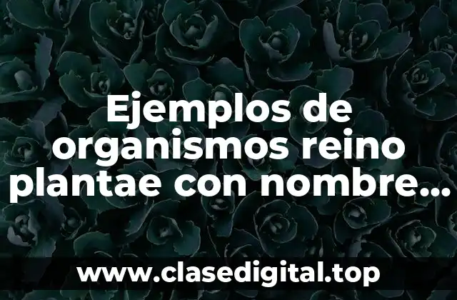 Ejemplos de organismos reino plantae con nombre cientifico y común