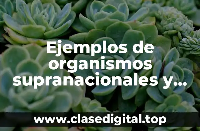 Ejemplos de organismos supranacionales y Significado