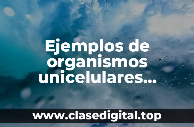 Ejemplos de organismos unicelulares procariotas