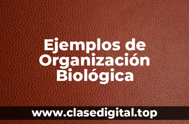 Ejemplos de Organización Biológica