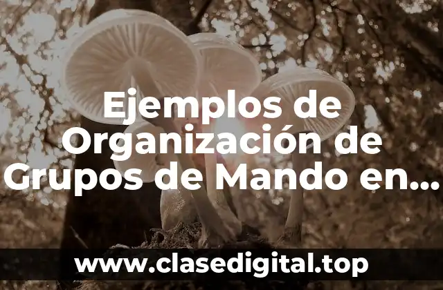 Ejemplos de Organización de Grupos de Mando en una Empresa