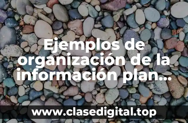Ejemplos de organización de la información plan 2011