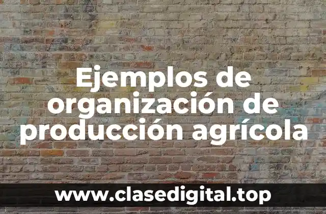 Ejemplos de organización de producción agrícola