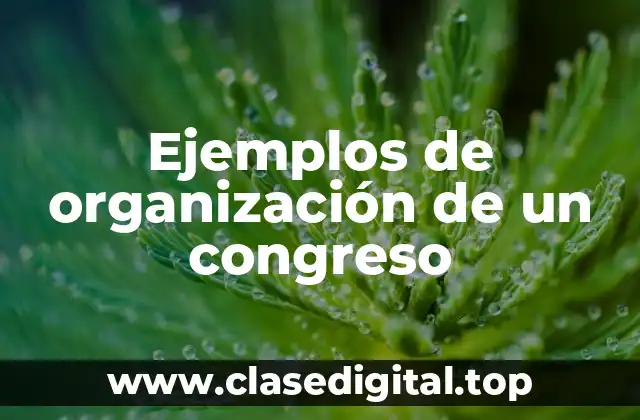 Ejemplos de organización de un congreso