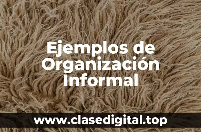 Ejemplos de Organización Informal