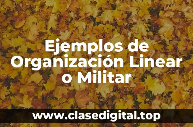 Ejemplos de Organización Linear o Militar