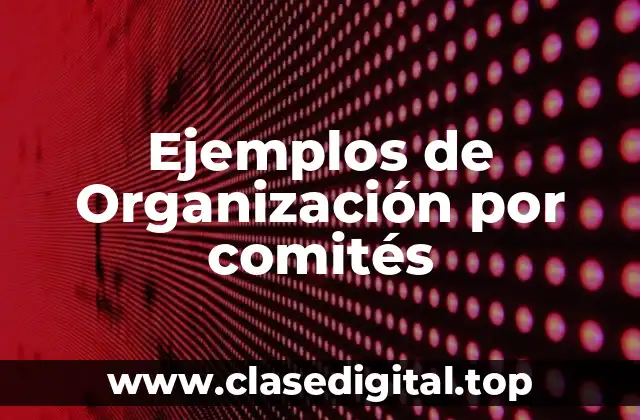 Ejemplos de Organización por comités