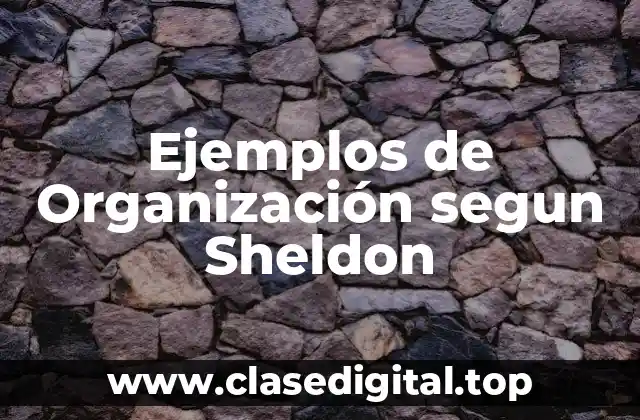 Ejemplos de Organización segun Sheldon