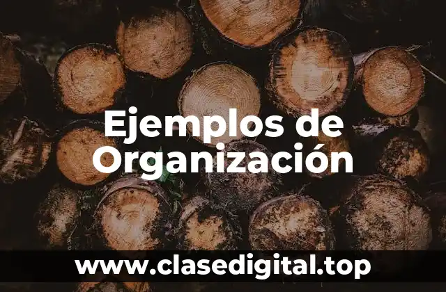 Ejemplos de Organización