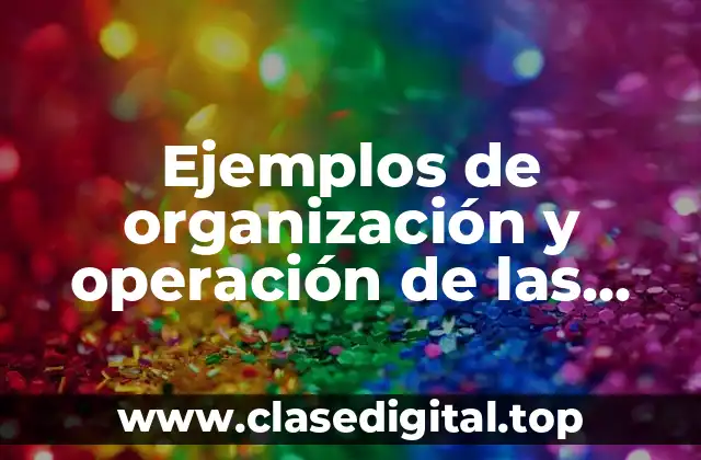 Ejemplos de organización y operación de las funciones del estado