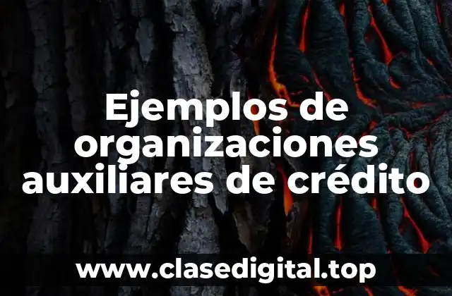Ejemplos de organizaciones auxiliares de crédito