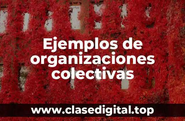 Ejemplos de organizaciones colectivas