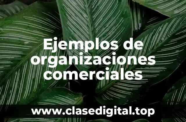 Ejemplos de organizaciones comerciales
